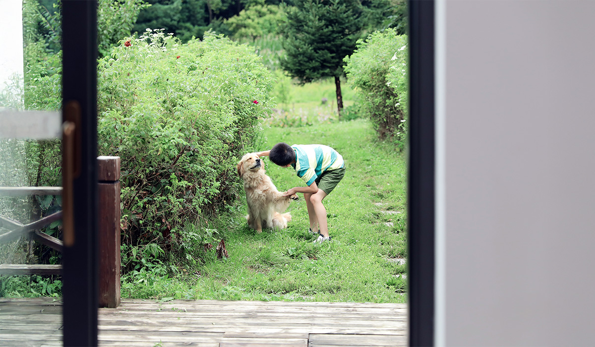 森鷹纖木系列S220 slim提升推拉門 藍鯨隔音門窗台灣獨家代理